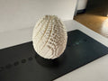 Spiral Twist Minecraft Egg Fidget